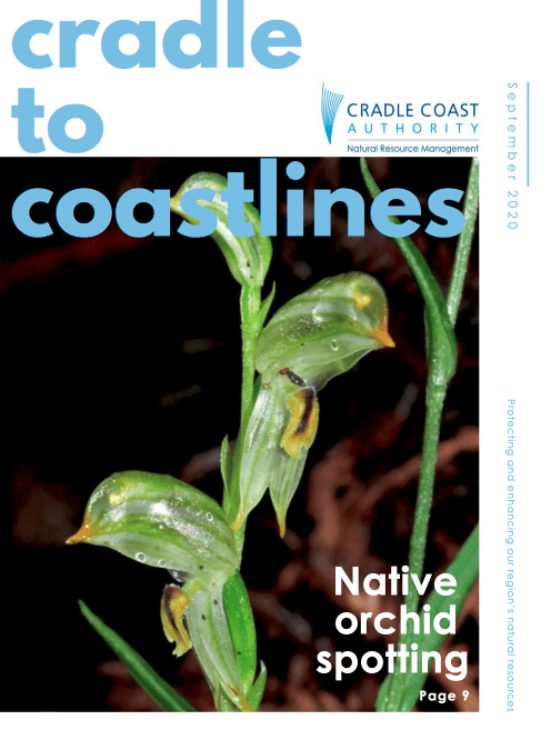 Cradle to Coastlines – September 2020